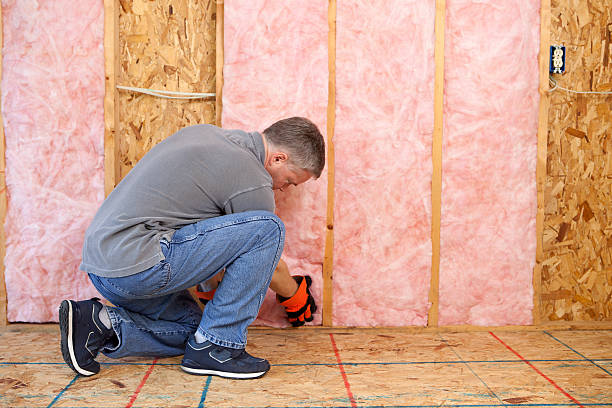 Best Geographic-Specific Insulation Services in Prairie Du Sac, WI